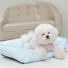 레드퍼피 강아지 딜리아 사각방석, 블루, 1개