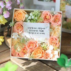 센트바스켓 조화 플라워가든 반전 용돈박스, 코랄, 1개