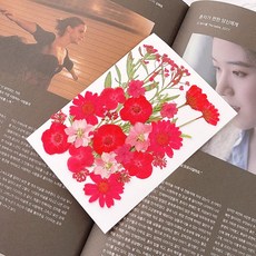 러블리팜 드라이플라워 압화꽃 28피스 DIY 세트, 1세트, 정열의 레드
