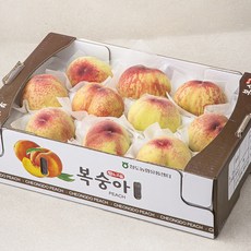 황소고을 청도 부드러운 복숭아 10내, 3kg, 1개
