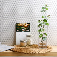 GLASSCO 方形瓶玻璃花瓶 SH1138-20, 透明