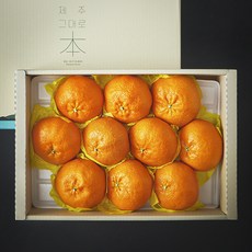 깨비농원 레드향 선물세트, 1개, 3kg(8~12입)
