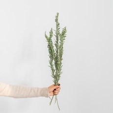 GAPANG 乾花花束 01, 綠色