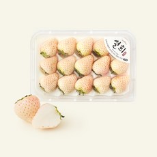 수플린 김진상 마이스터의 설희 딸기, 1개, 400g