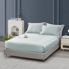 J-bedtime 床寢時光 60支奧地利正版蘭精 100%純天絲床包 + 枕套 S5558S