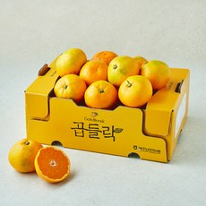 농협 곱들락 감귤, 2kg(랜덤과), 1개