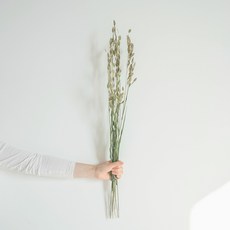 GAPANG 霧藍乾花DRYB232, 綠色01