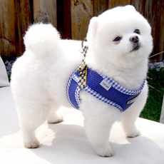 RealPet 狗狗粉彩胸背帶, 寶藍色