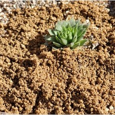 위드블럭 원예용 분갈이 건강한 마사토, 1개, 10kg