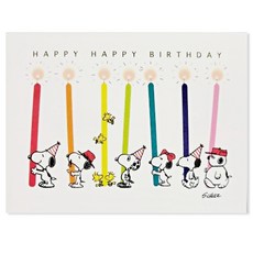 홀마크 스누피 입체 생일 축하카드 817251, 혼합색상, 1개