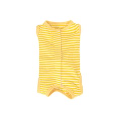 파스텔펫 반려동물 스트라이프 중성화복, 옐로우, 1개