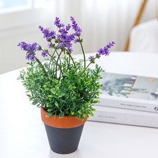 Happy Village 人造迷迭香陶盆花盆, 1個, 紫色