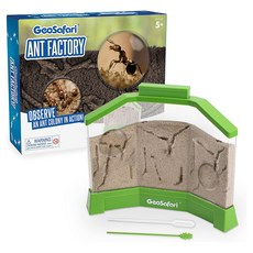 GeoSafari 螞蟻工廠, 1組