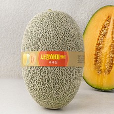 사랑하미 진주 멜론 하미과, 1개, 1.8kg 이상