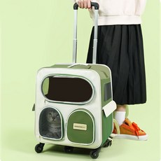 DING DONG PET 寵物Miyo網眼後揹包外出提籠推車組合, 1套, 綠色