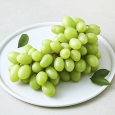 amc올프룻 미국산 씨없는 청포도, 1개, 800g