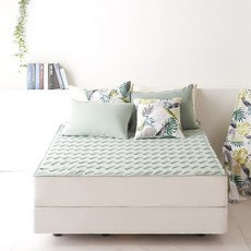 하우지안 보니움 패드, 올리브그린