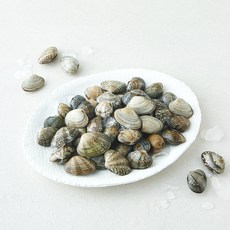 바다림 서해안 생물 참바지락 (냉장), 1개, 400g