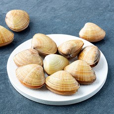 명주조개 (냉장), 1개, 600g