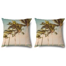 로스앤젤레스의 오후 갬성 쿠션 커버 2p