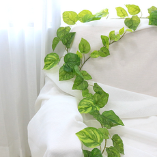 IBERIS Dawoo F&G 室內裝飾懸掛人造藤蔓, 黃金葛, 1個