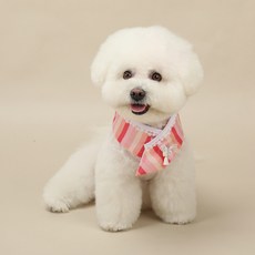 RITOGATO 小狗 Nannabi Saekdong 韓服斗篷, 1個, 淺粉紅