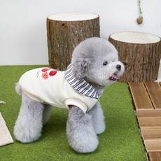 PASTEL PET 寵物番茄條紋連帽T恤, 1個, 象牙白