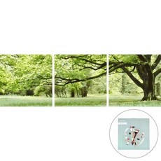 ARTJOY DIY數字油畫 三聯式 50x50cm 綠意盎然, 綠色, 1組