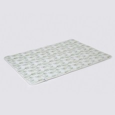 Elim 韓國兒童網狀墊瓢蟲科迪, 白+綠