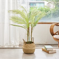 아스파시아 오리엔탈 켄차야자 조화, 그린, 1개