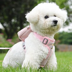 랜보어 반려동물 우주인백팩 하네스 + 리드줄 세트, 핑크, 1세트