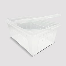 NOMOY PET H5 爬蟲類 兩棲類 餵食盒 大號 32 x 22 x 15 cm, 1個, 透明