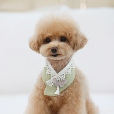 RITOGATO 寵物 Mir 韓服 披風 L, 淺綠色, 1個