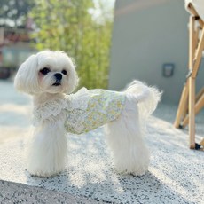 Chilshi 寵物花朵蕾絲無袖上衣, 黃色