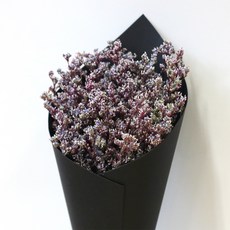 ROMANTIC NOVEMBER 浪漫無成員保鮮乾花迷你霧花束黑色, .迷霧酒