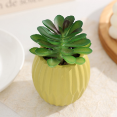 소울리치 예쁜 다육식물 조화 화분타입5, 비나비꽃, 1개