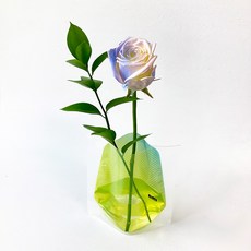 포켓플라워 생화 오로라장미 한송이팩, 혼합색상