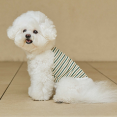 milliong 狗狗無袖Sunny Stripe背心, 1個, 橄欖綠