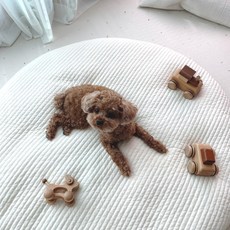 Moyoroom 爺爺讓我們的寶寶玩墊子圓形地毯套, 1 無酒精管道