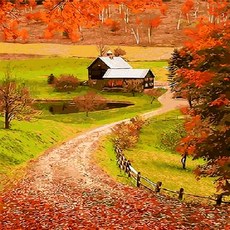 PIPO DIY 風景畫繪畫套組 秋季主題系列 40 x 50 cm, Q390