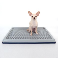 Dingdong Pet 寵物寬型便盆, 1個, 海軍藍