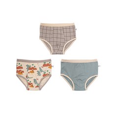 男童款CC三角N084內褲 3件組 CCV91BYY108