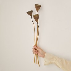 GAPANG 乾花DRYB244 No.03, 棕色的