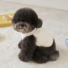 BENNYS 狗狗卡士達開襟背心, 象牙白, 1個