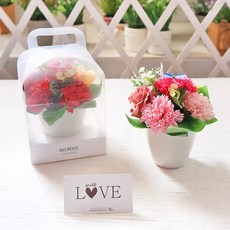 인크리코 비누꽃 나비 카네이션 화분 2종 + 메세지 카드 2종 랜덤발송 + 전용 PP 케이스 세트, 레드 + 핑크, 1개