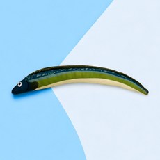 미미네아쿠아 고양이 물고기 캣닢 쿠션, 3개, 진흙장어