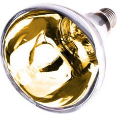 CompLife 燈, 02 IR245 金