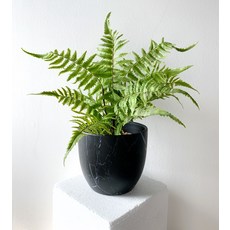 四株人造樹波士頓蕨 400 毫米, 黑色的, 1個