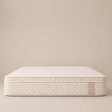 비투스 단단한 올바른 밀도 매트리스 방문설치, 28cm, 하드