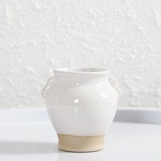 Leovince 室內裝飾多肉植物迷你陶瓷花盆, 白色1